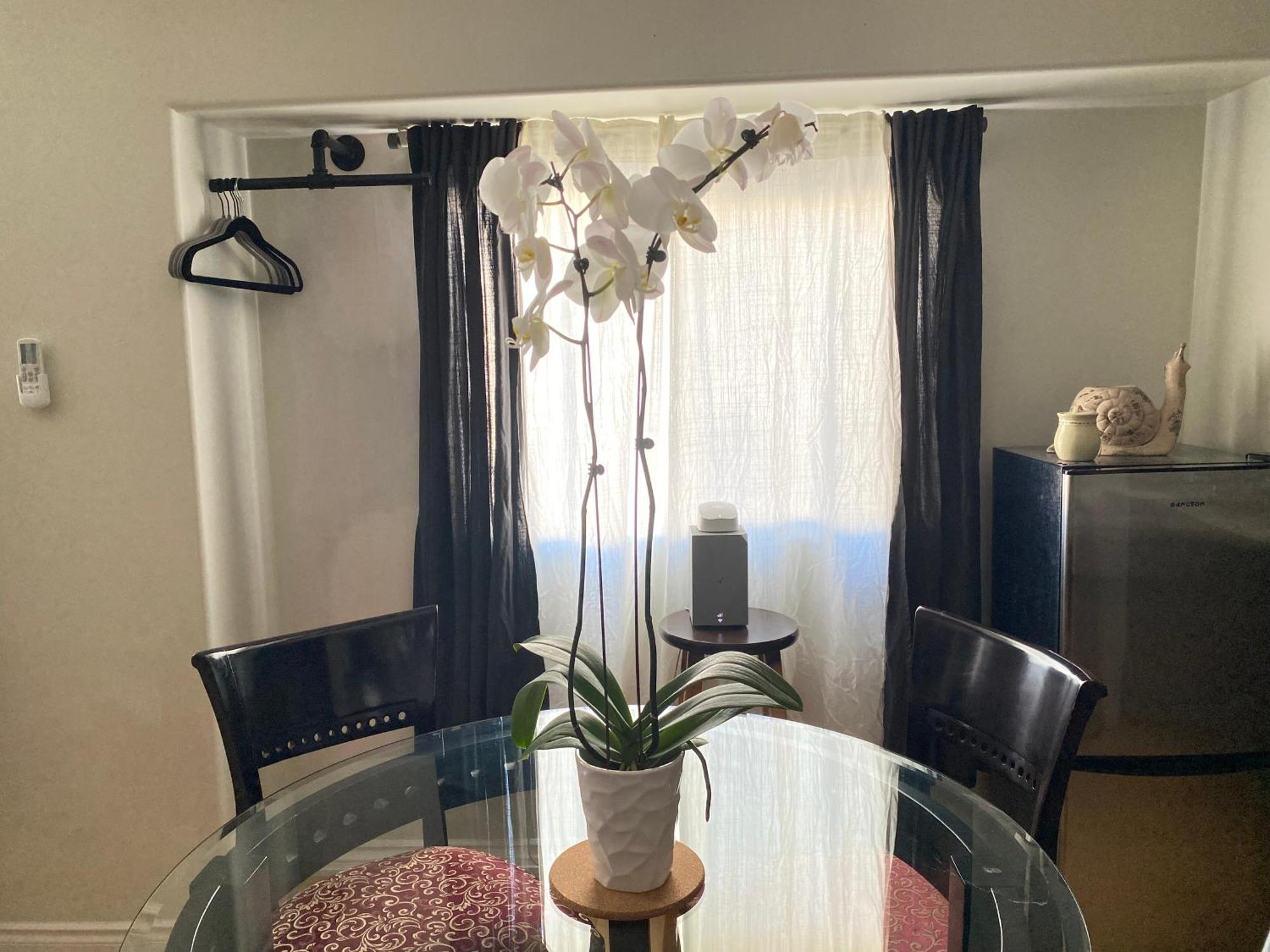 Pasadena Old Town 2 Apartment Екстериор снимка